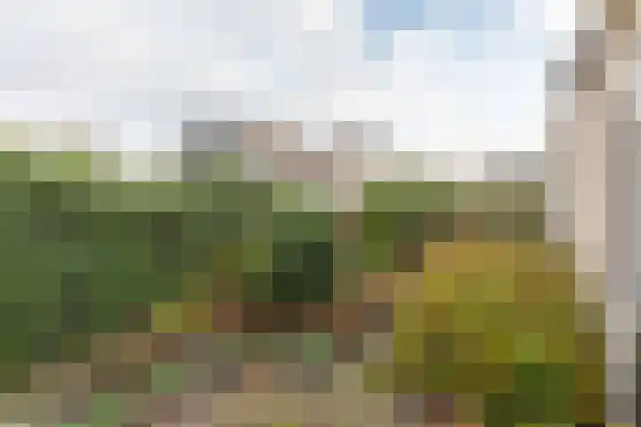 Hoofdstraat West 102 Wolvega thumbnail 30