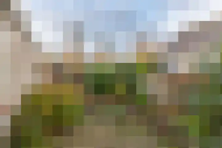 Hoofdstraat West 102 Wolvega thumbnail 31