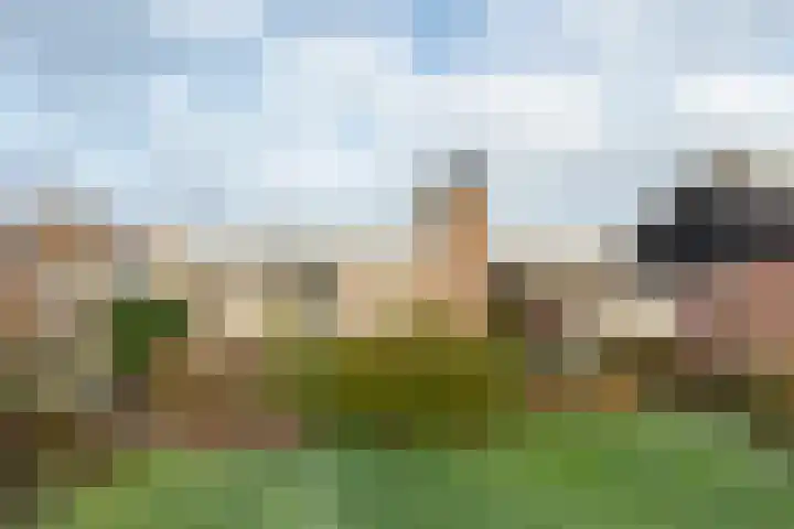 Hoofdstraat West 102 Wolvega thumbnail 4