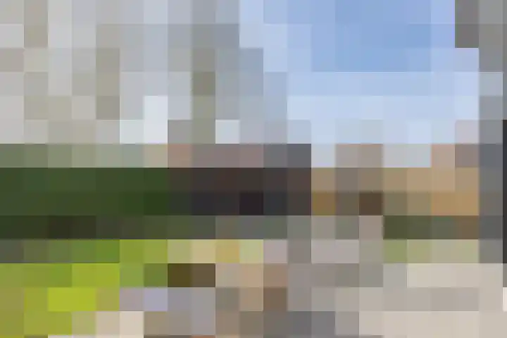 Hoofdstraat West 105 Wolvega thumbnail 45