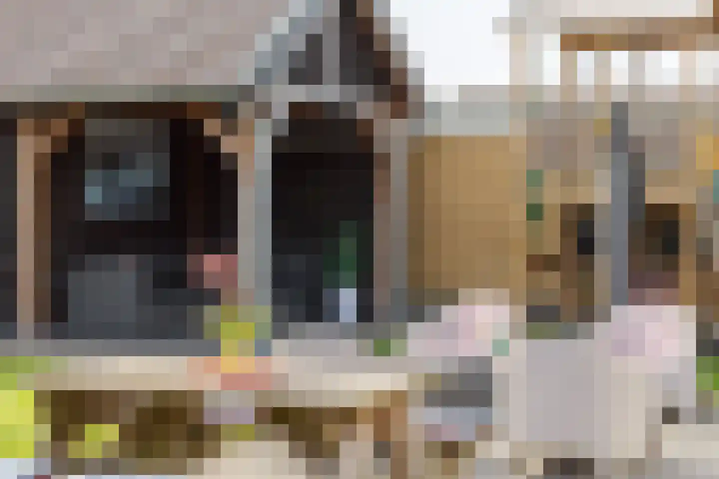 Hoofdstraat West 105 Wolvega thumbnail 46