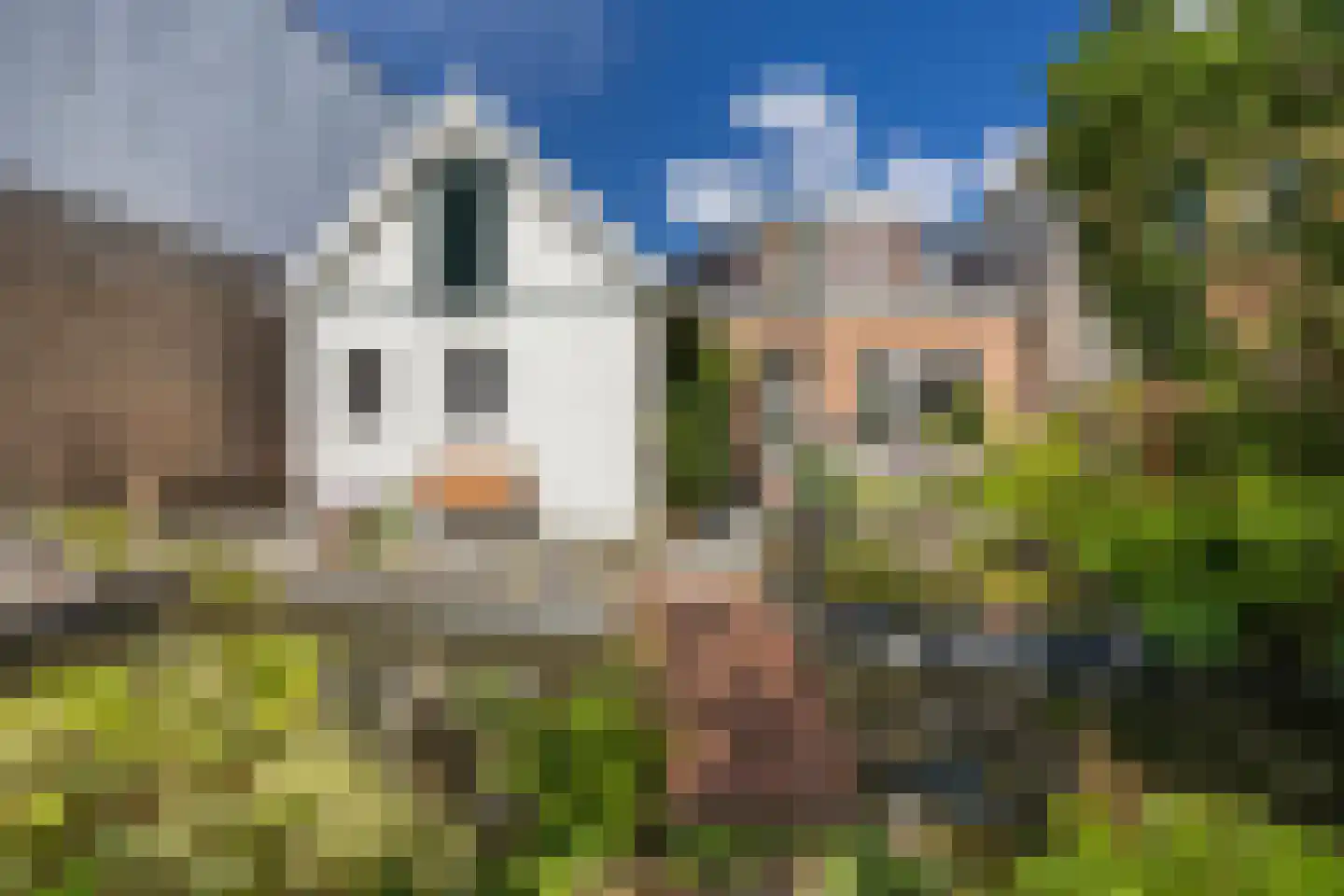 Hoofdstraat-West 15 Uithuizen thumbnail 62