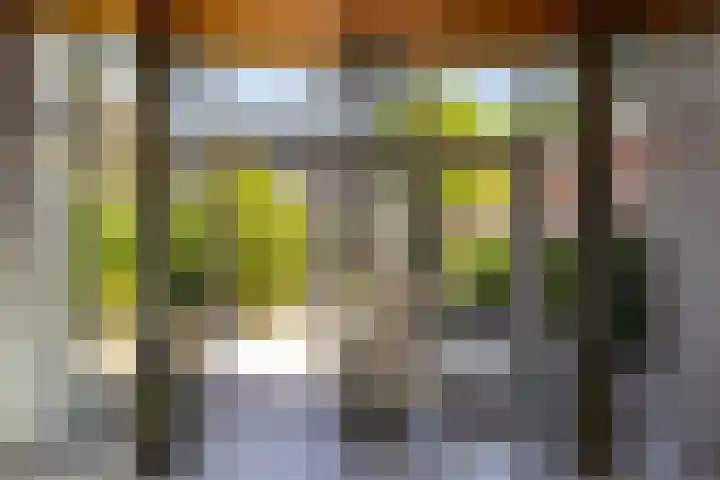 Hoofdstraat-West 4 Uithuizen thumbnail 32