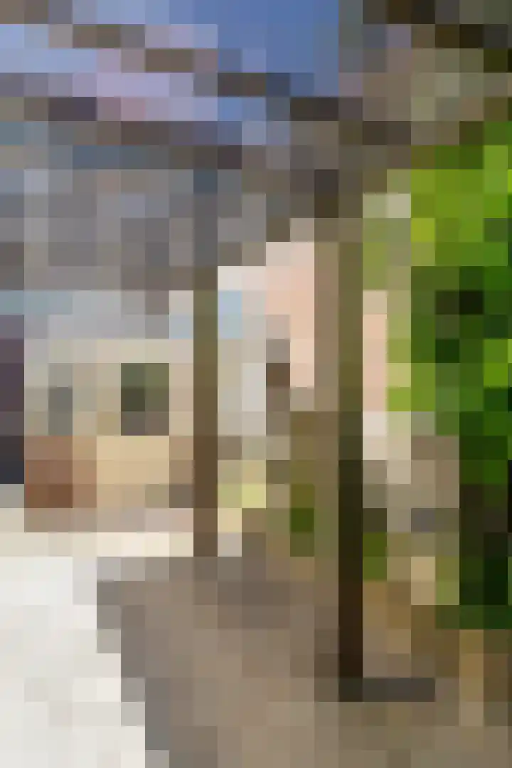 Hoofdstraat-West 4 Uithuizen thumbnail 88