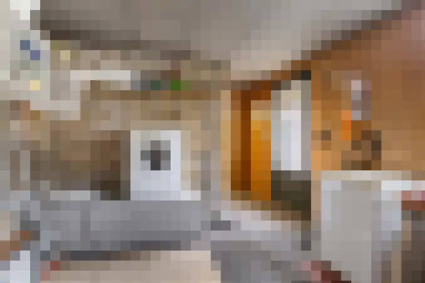 Hoofdstraat West 60 Wolvega thumbnail 21