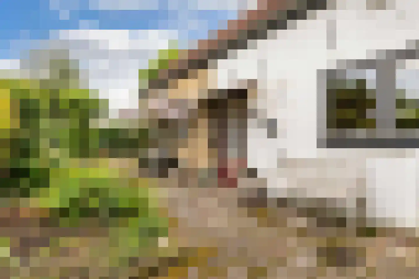 Hoofdstraat West 60 Wolvega thumbnail 28