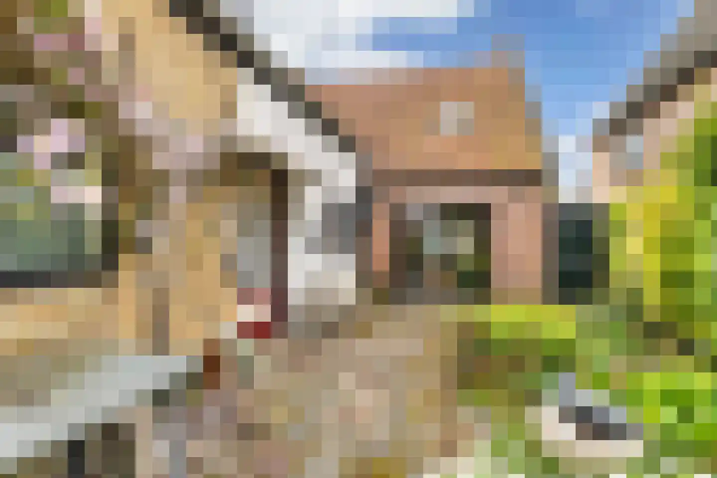 Hoofdstraat West 60 Wolvega thumbnail 32