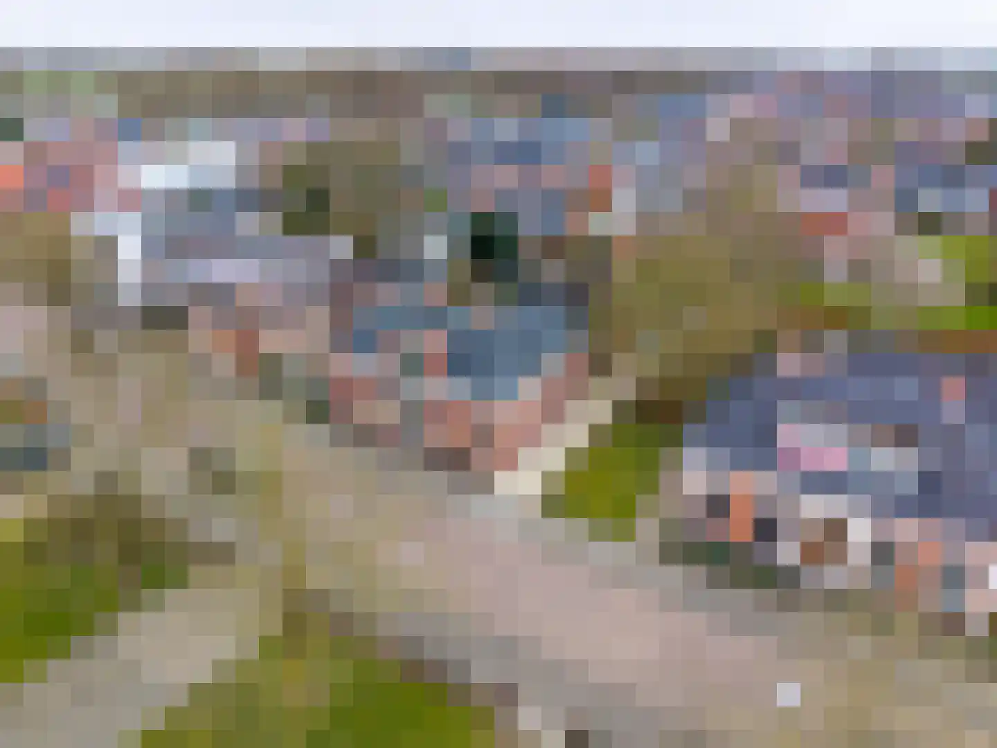 Hoofdstraat-West 70 Uithuizen thumbnail 4