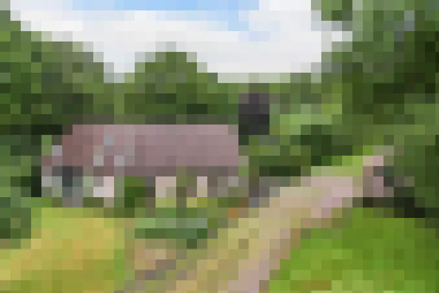 Hoofdstraat West 74 A Noordwolde thumbnail 33