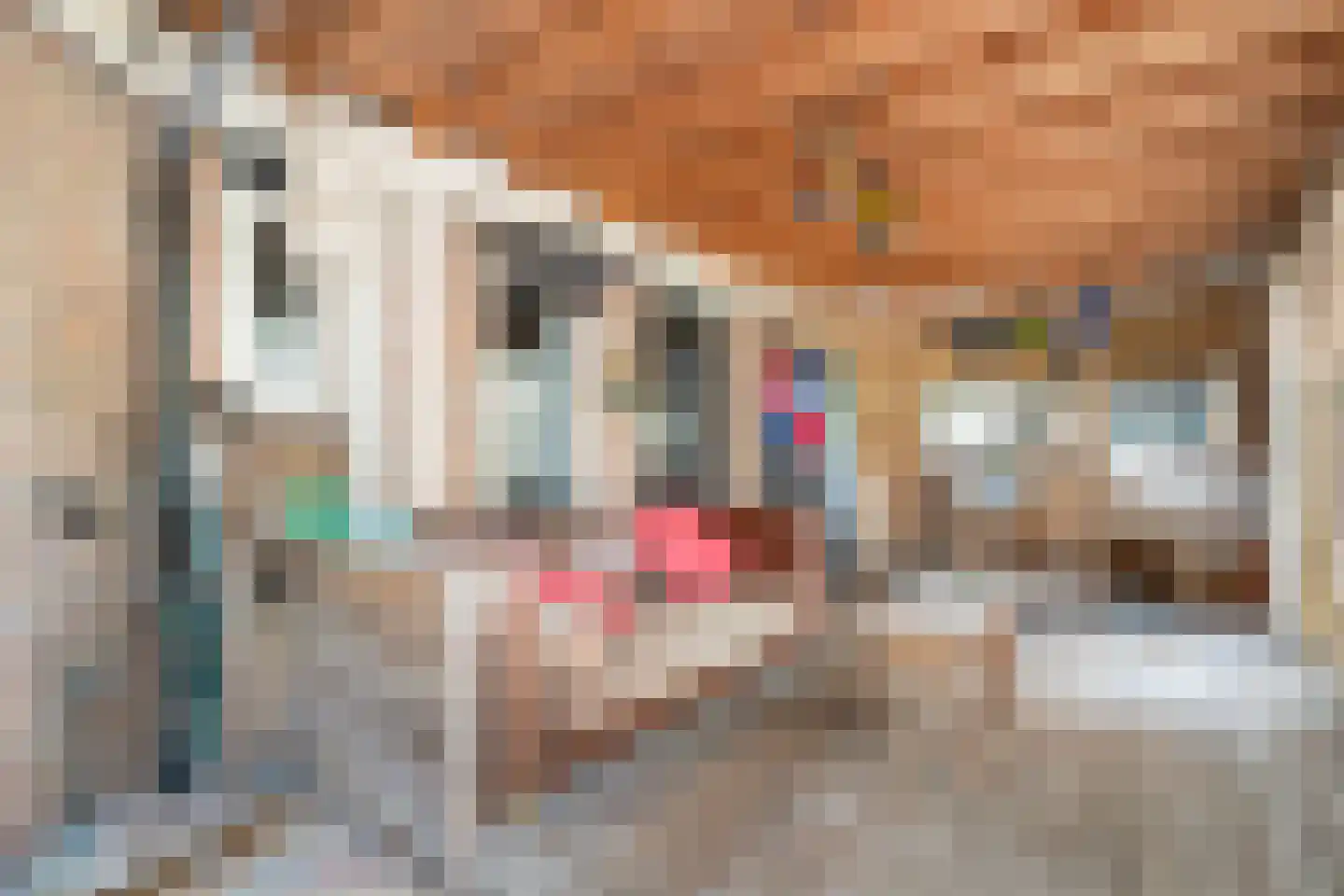 Hoofdstraat West 74 A Noordwolde thumbnail 34