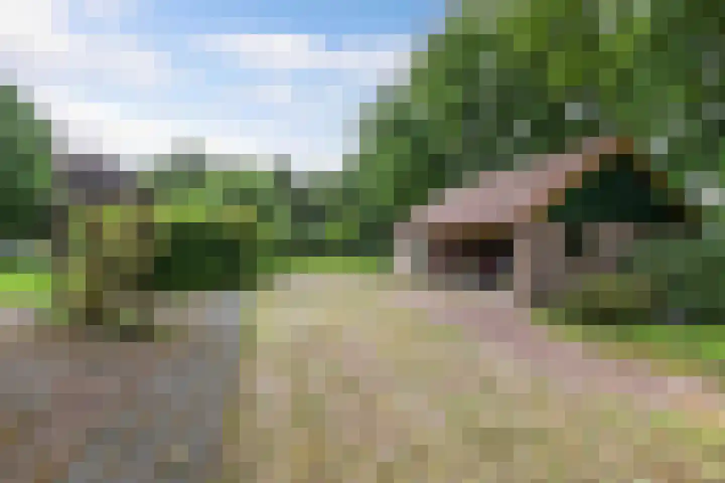Hoofdstraat West 74 A Noordwolde thumbnail 46