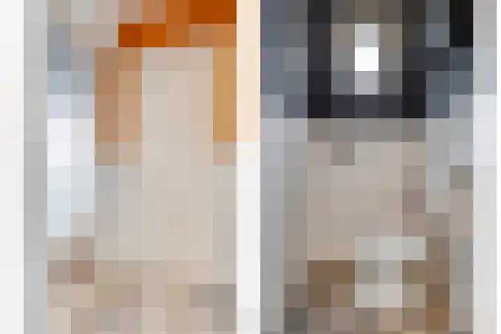 Hoofdvaart 100 Dedemsvaart thumbnail 10