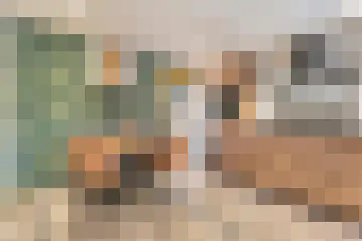 Hoofdvaart 100 Dedemsvaart thumbnail 11