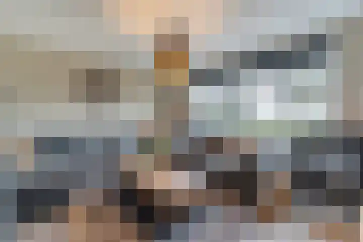 Hoofdvaart 100 Dedemsvaart thumbnail 15