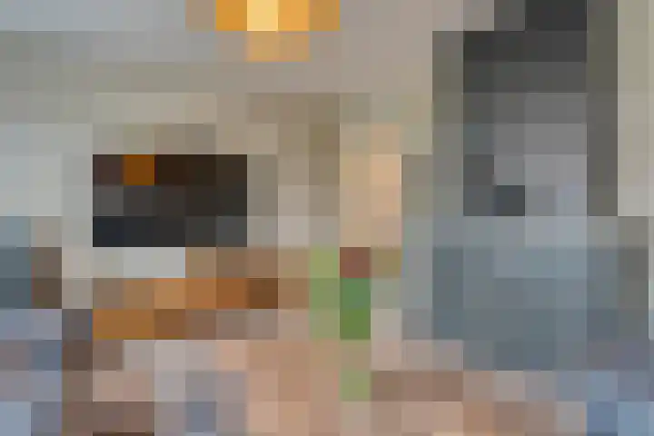 Hoofdvaart 100 Dedemsvaart thumbnail 17