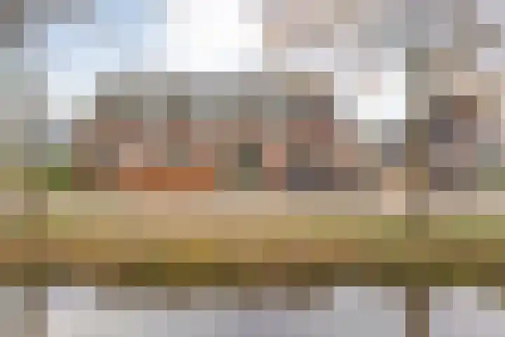 Hoofdvaart 100 Dedemsvaart foto 2
