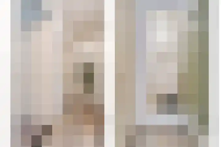 Hoofdvaart 100 Dedemsvaart thumbnail 20