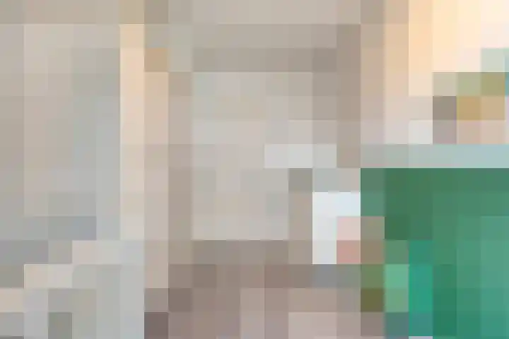 Hoofdvaart 100 Dedemsvaart thumbnail 22