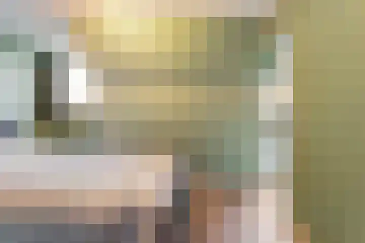 Hoofdvaart 100 Dedemsvaart thumbnail 23