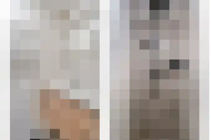 Hoofdvaart 100 Dedemsvaart thumbnail 25