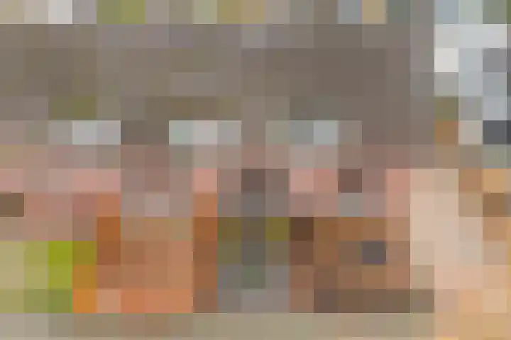 Hoofdvaart 100 Dedemsvaart foto 3