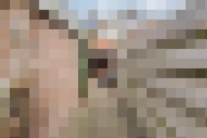 Hoofdvaart 100 Dedemsvaart thumbnail 33