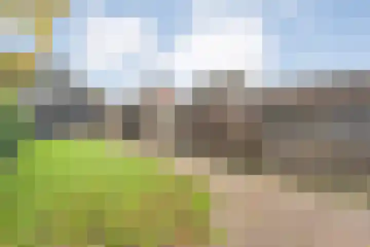 Hoofdvaart 100 Dedemsvaart thumbnail 34