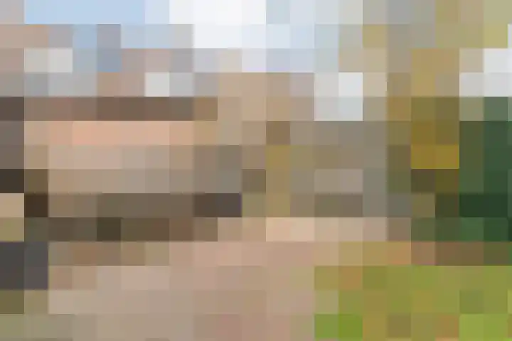 Hoofdvaart 100 Dedemsvaart thumbnail 35