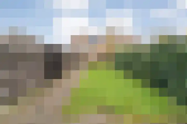 Hoofdvaart 100 Dedemsvaart thumbnail 37