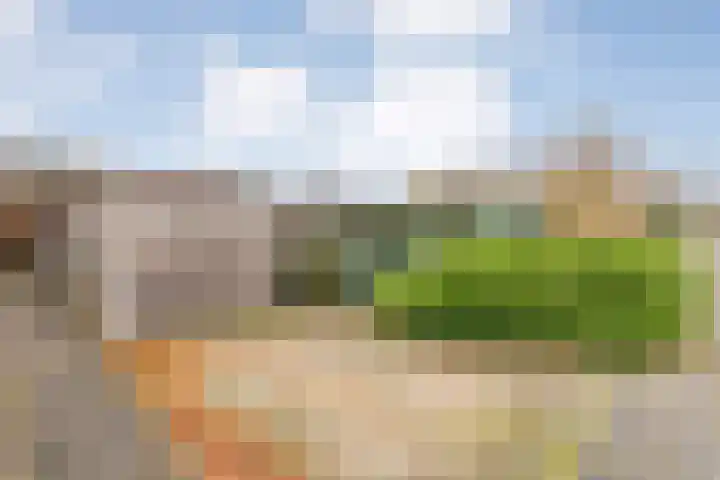 Hoofdvaart 100 Dedemsvaart thumbnail 39