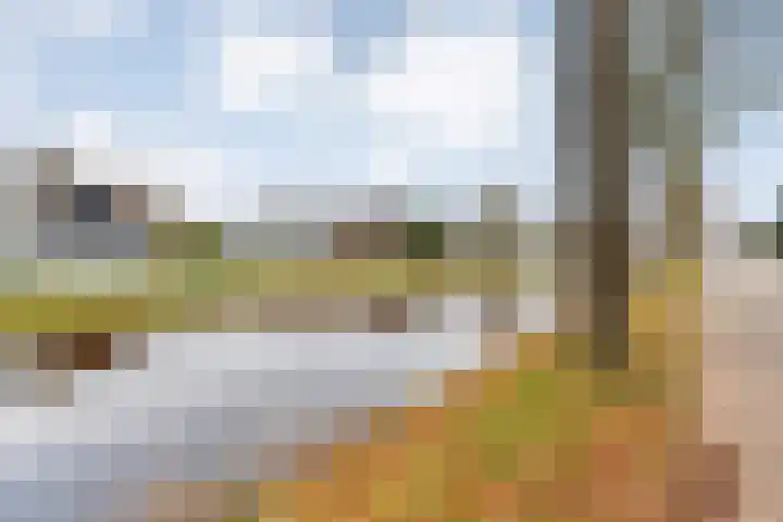 Hoofdvaart 100 Dedemsvaart thumbnail 40
