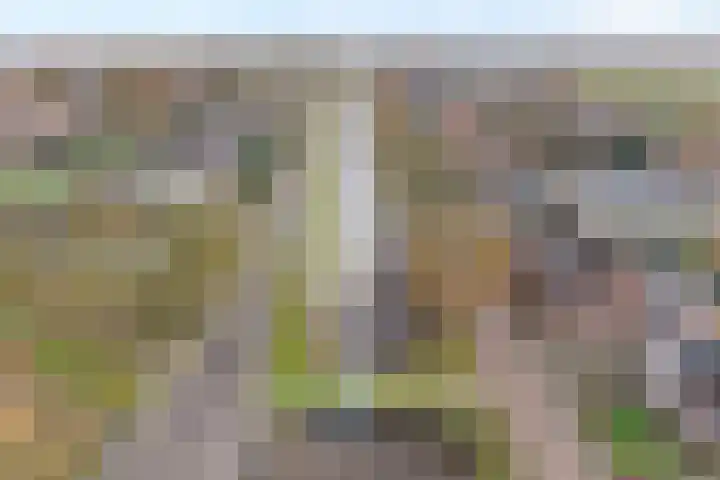 Hoofdvaart 100 Dedemsvaart thumbnail 5