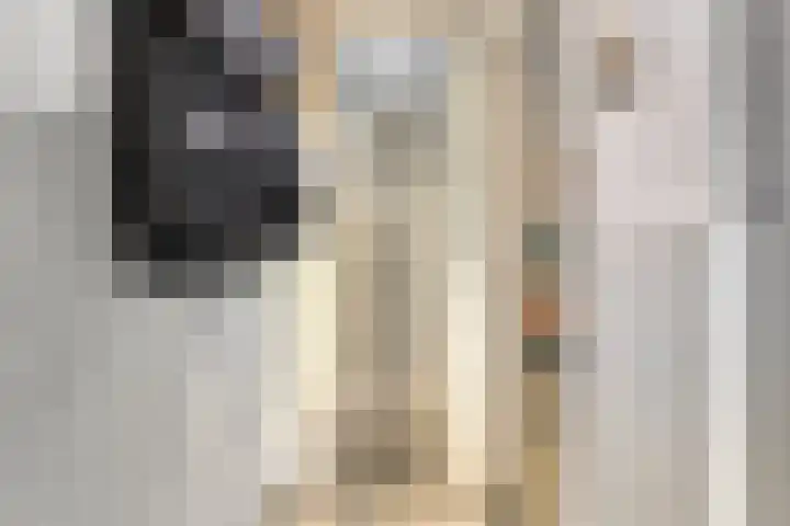 Hoofdvaart 100 Dedemsvaart thumbnail 9