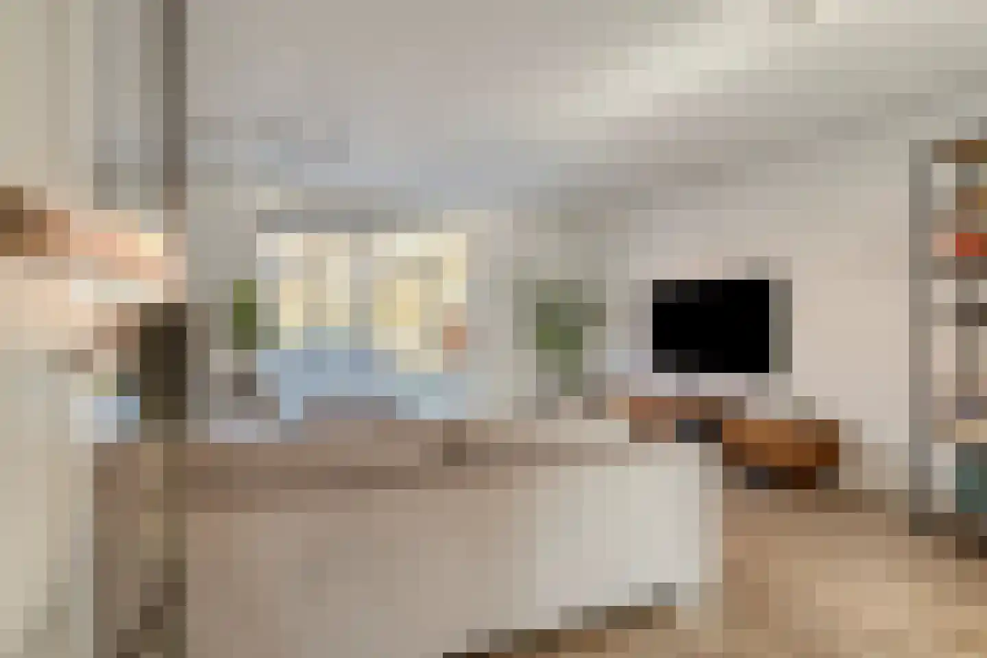 Hoofdvaart 2 Schiedam thumbnail 8