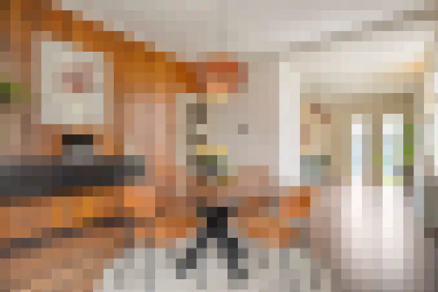 Hoofdvaart 38 Dedemsvaart thumbnail 13