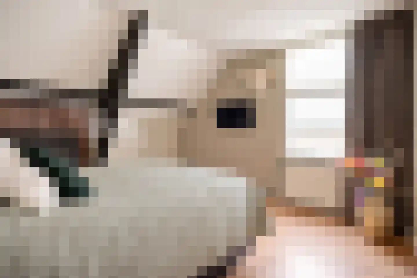 Hoofdvaart 38 Dedemsvaart thumbnail 26