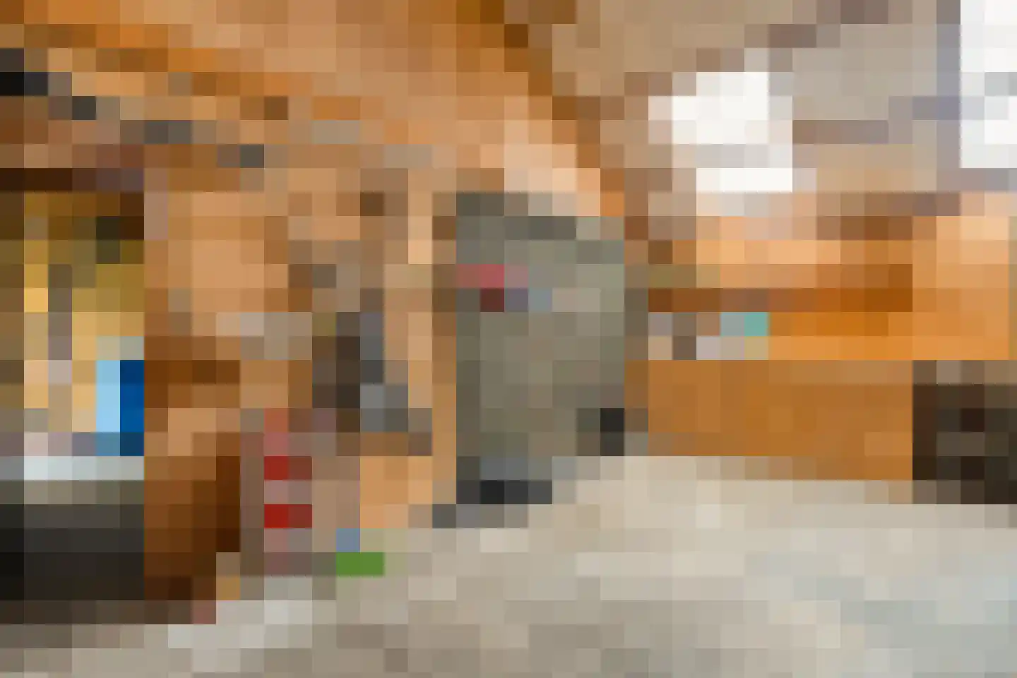 Hoofdvaart 38 Dedemsvaart thumbnail 40