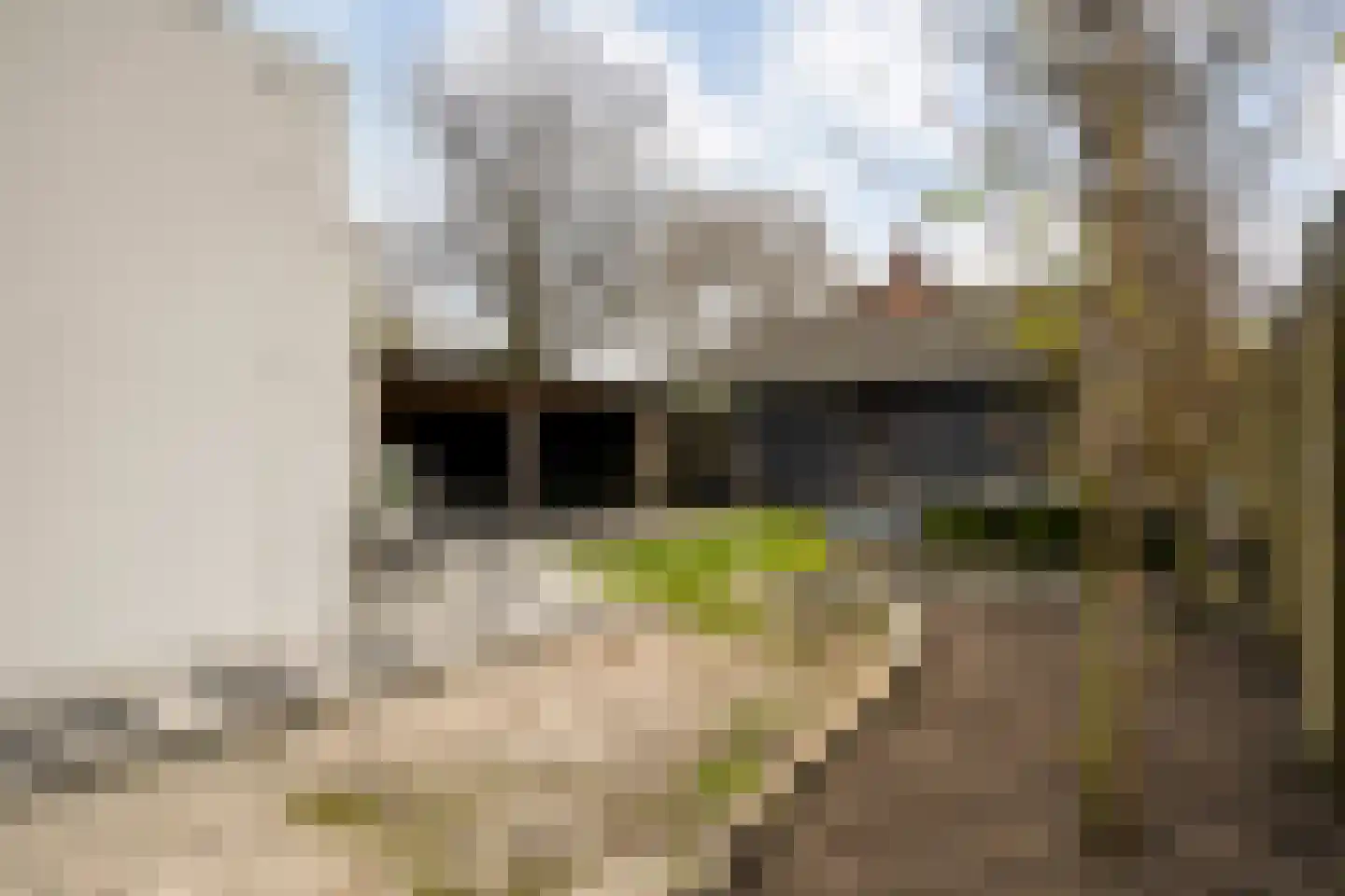 Hoofdvaart 38 Dedemsvaart thumbnail 42