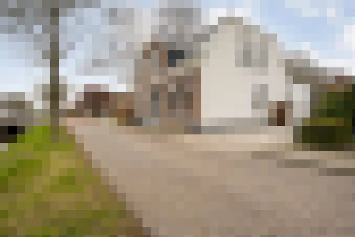 Hoofdvaart 38 Dedemsvaart thumbnail 51