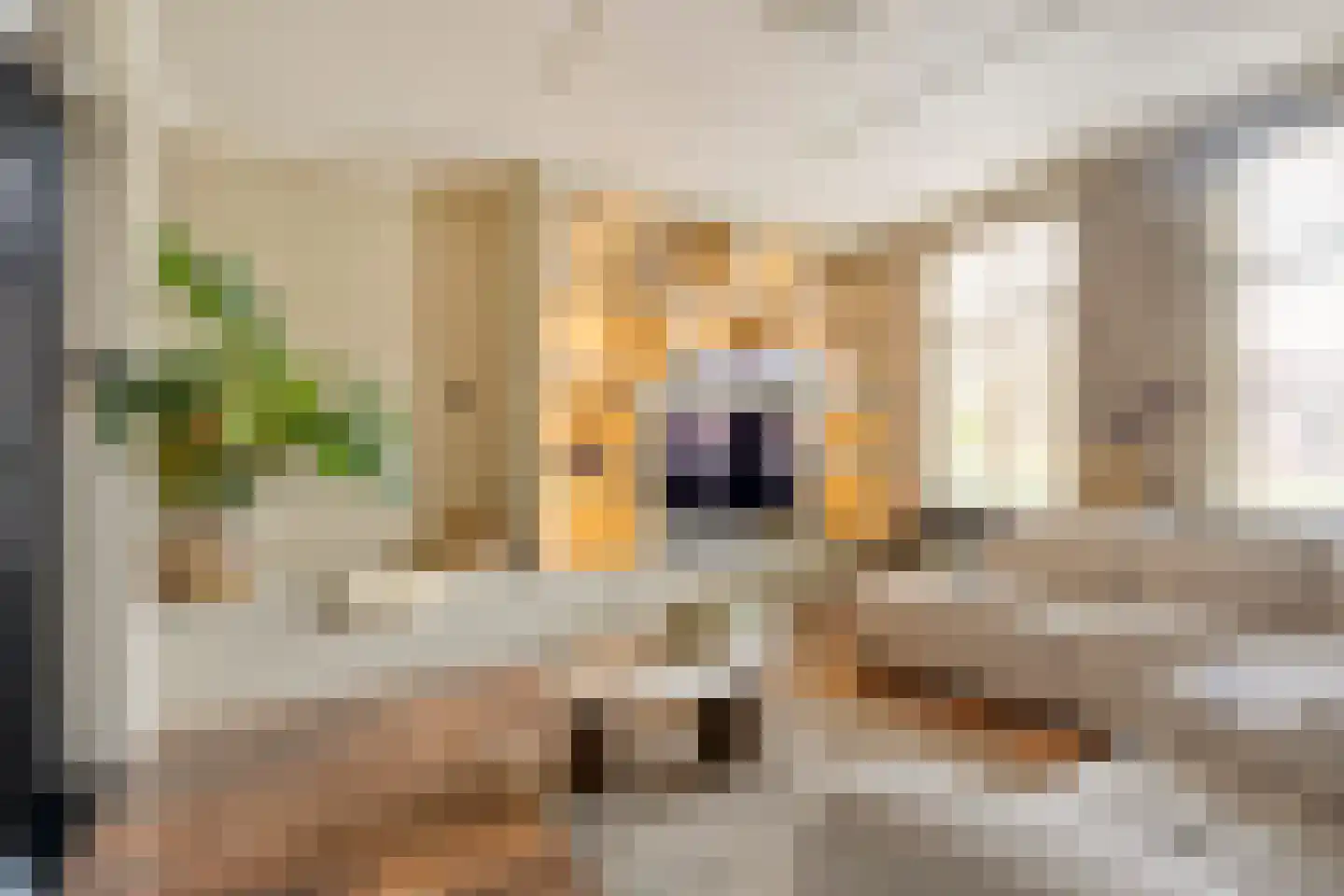 Hoofdvaart 38 Dedemsvaart thumbnail 6