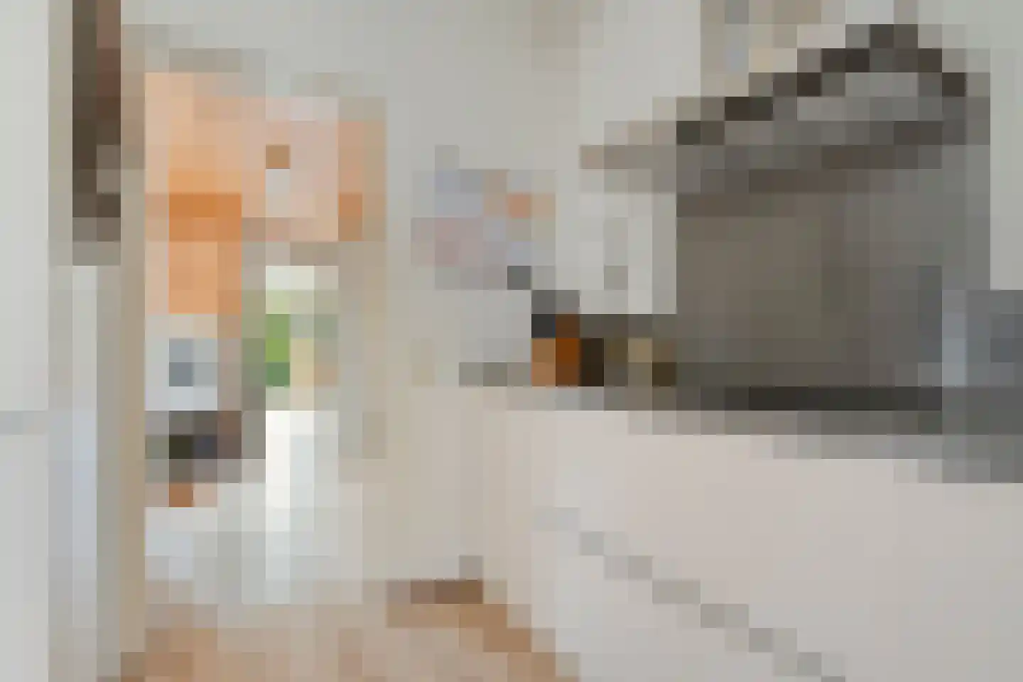 Hoofdvaart 48 Dedemsvaart thumbnail 14