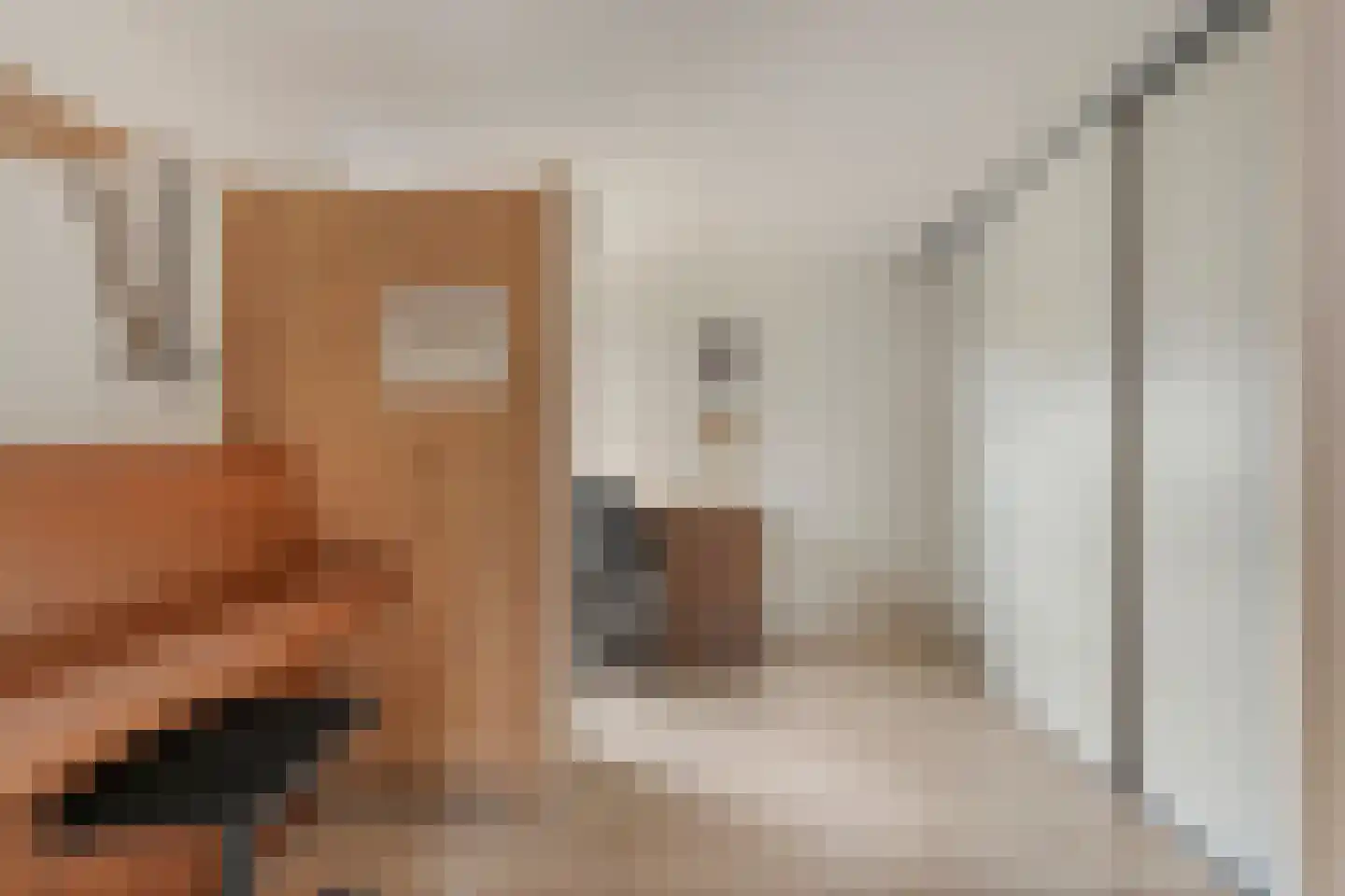 Hoofdvaart 48 Dedemsvaart thumbnail 17