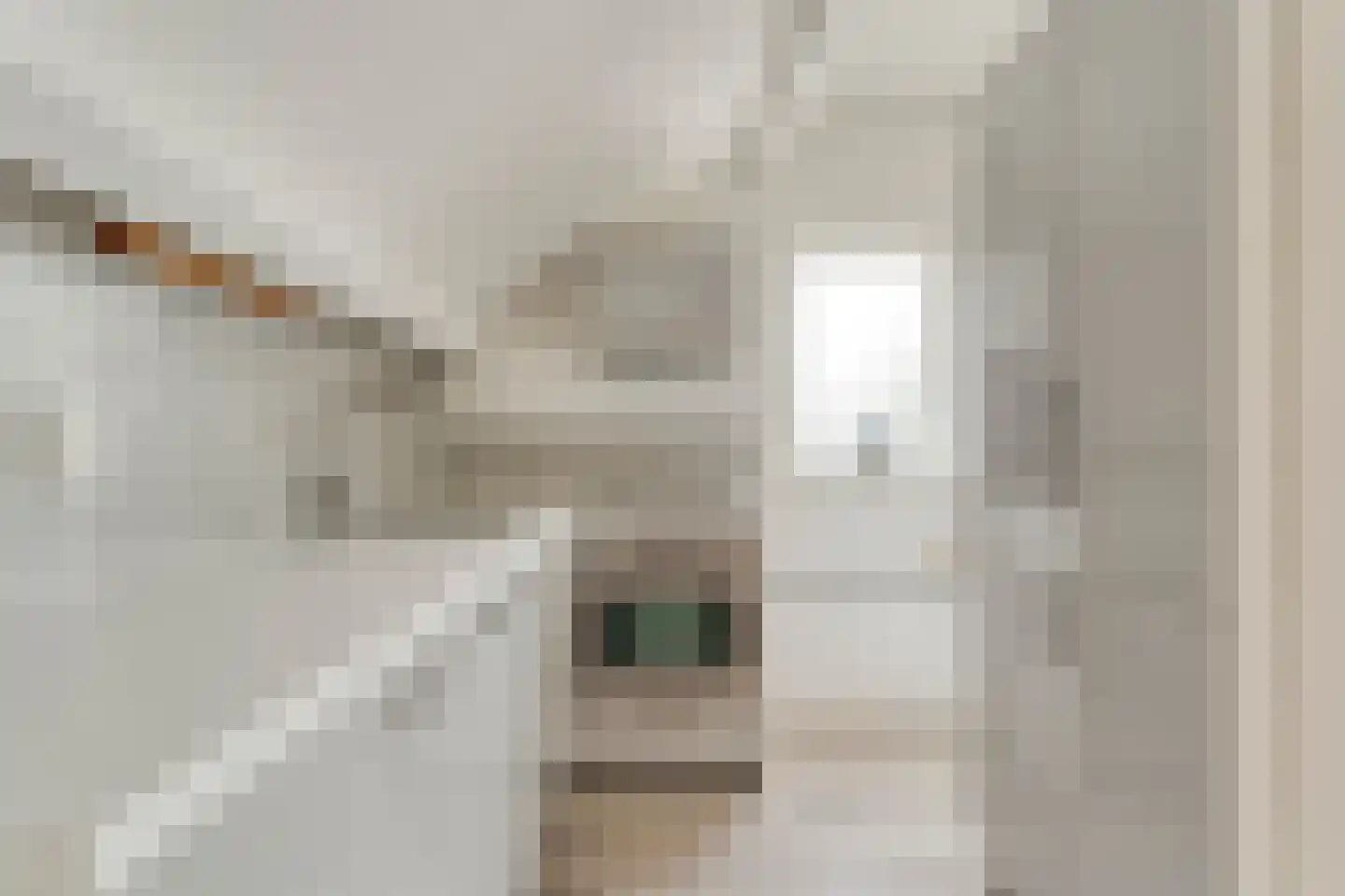 Hoofdvaart 48 Dedemsvaart thumbnail 42
