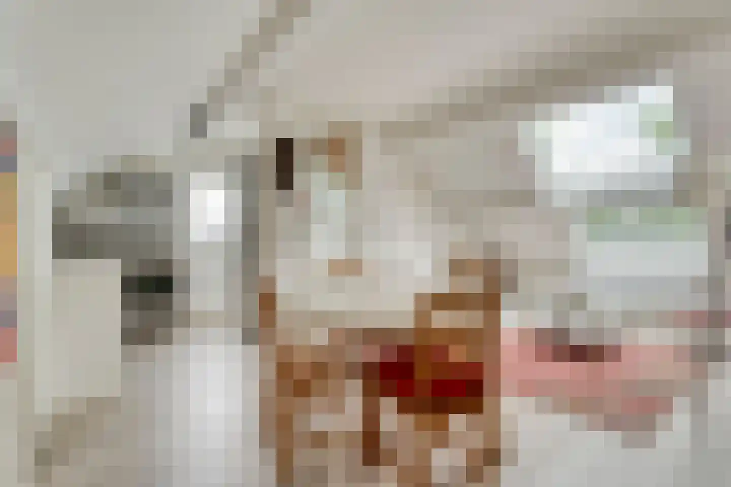 Hoofdvaart 48 Dedemsvaart thumbnail 45