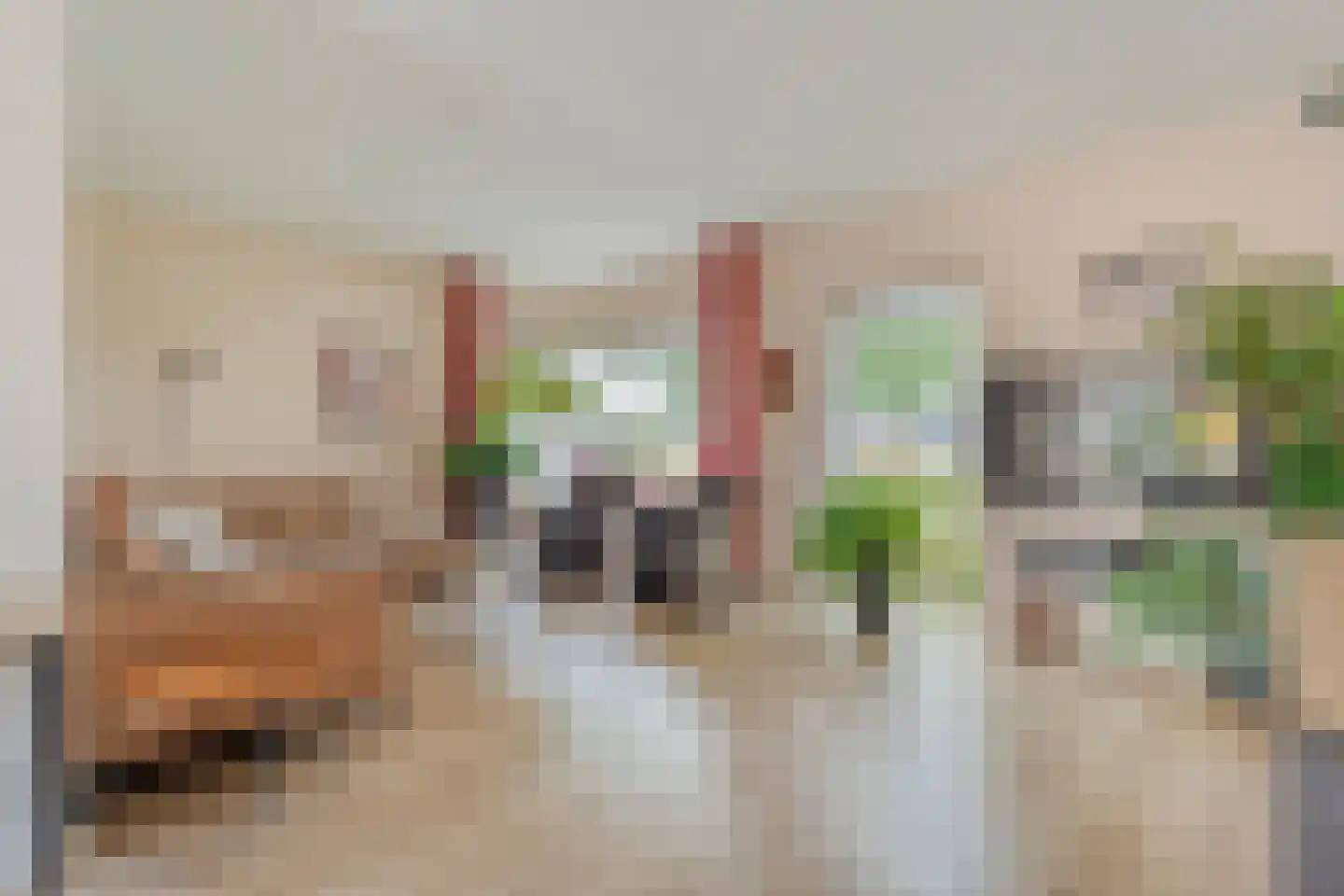 Hoofdvaart 48 Dedemsvaart thumbnail 5