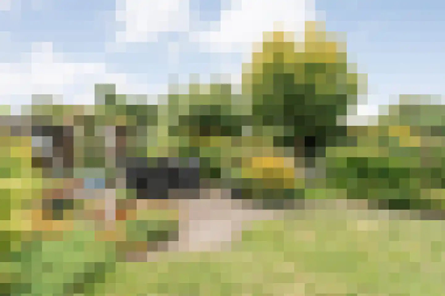 Hoofdvaart 48 Dedemsvaart thumbnail 50