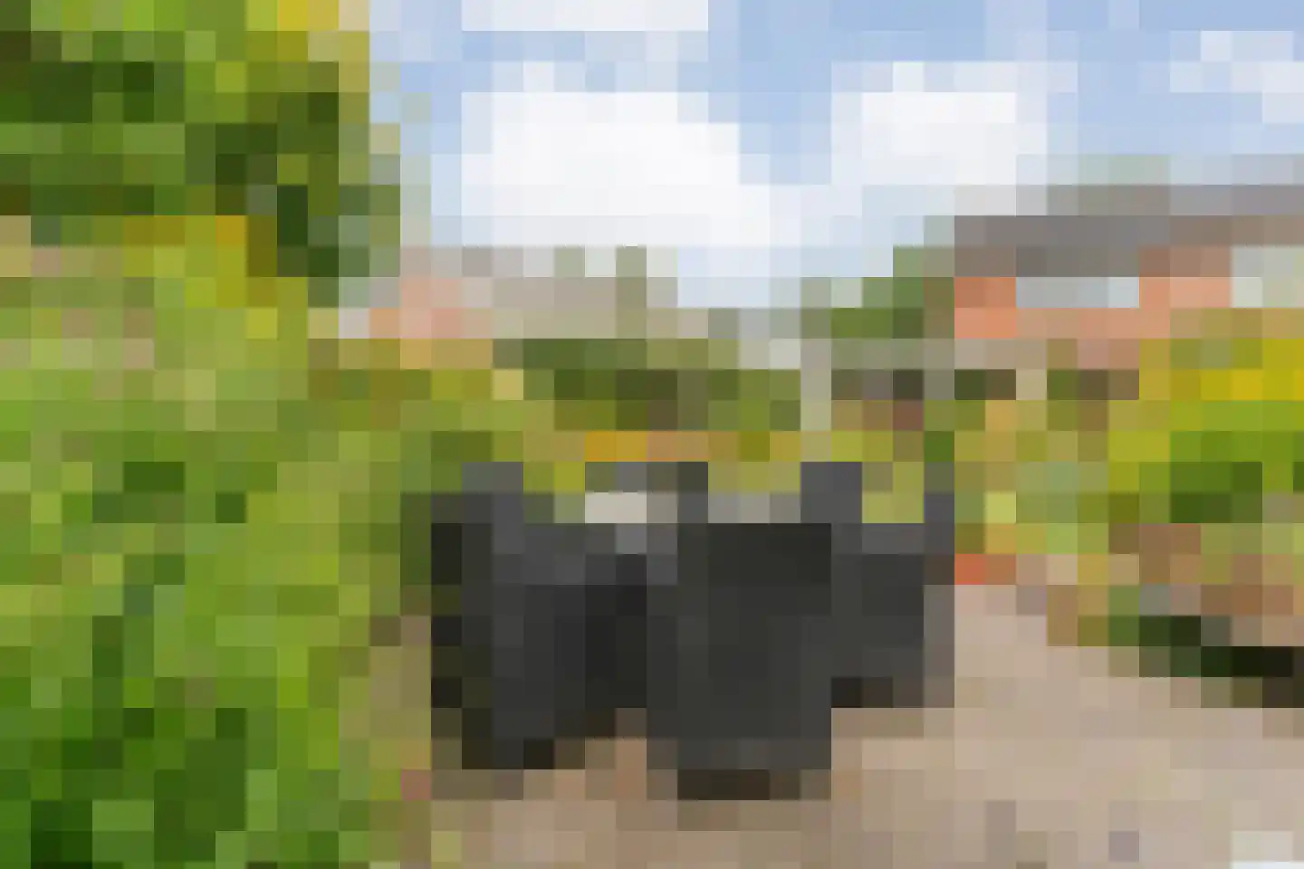 Hoofdvaart 48 Dedemsvaart thumbnail 51
