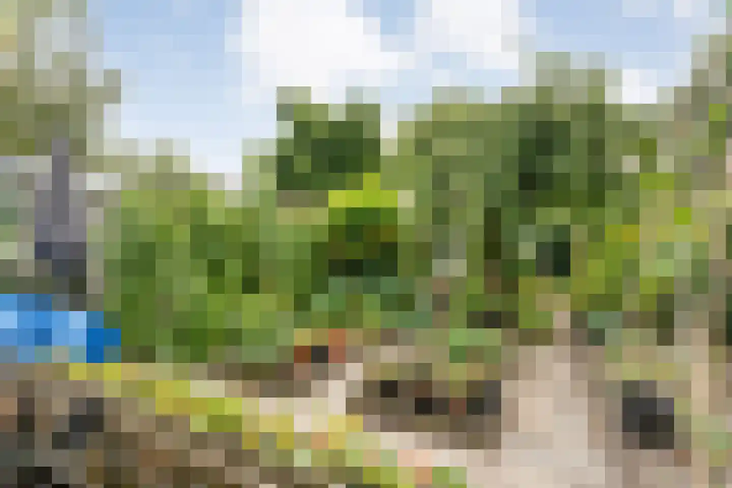 Hoofdvaart 48 Dedemsvaart thumbnail 52