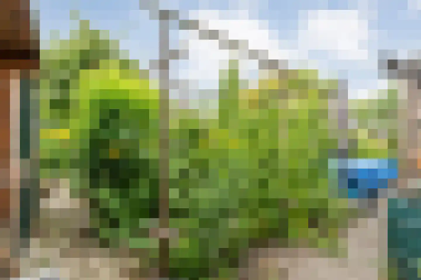 Hoofdvaart 48 Dedemsvaart thumbnail 53