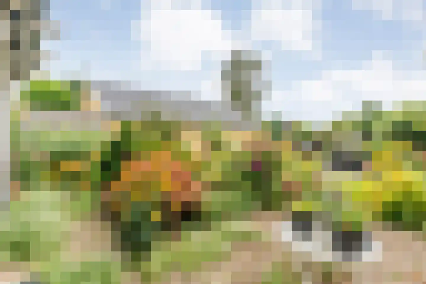 Hoofdvaart 48 Dedemsvaart thumbnail 56